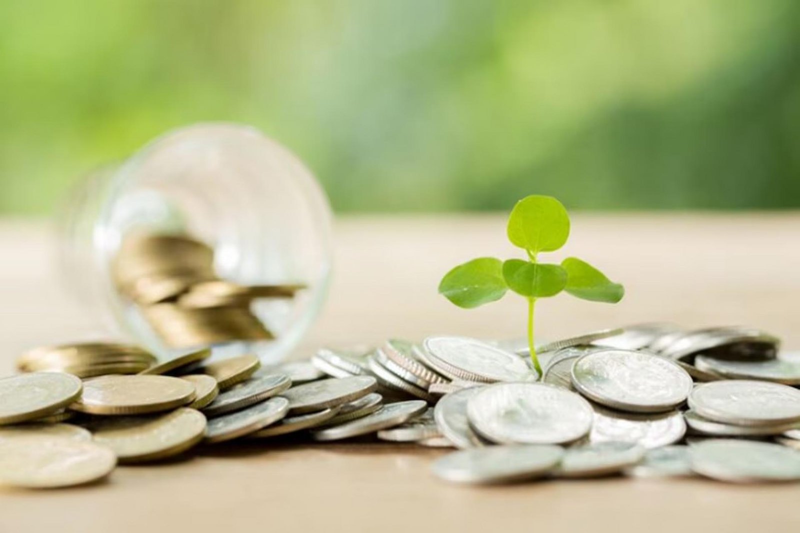Investing
